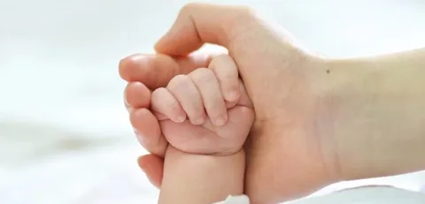 Hayat Sigortaları Hayat Sigortaları